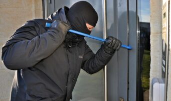 burglar, mask, kuhfuss, burglar, burglar, burglar, burglar, burglar