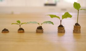growth, credit, cost, interest charges, finance, money, business, investments, loan, payment, income, wealth, bank, cash, coin, cost, cost, cost, cost, cost, income, income